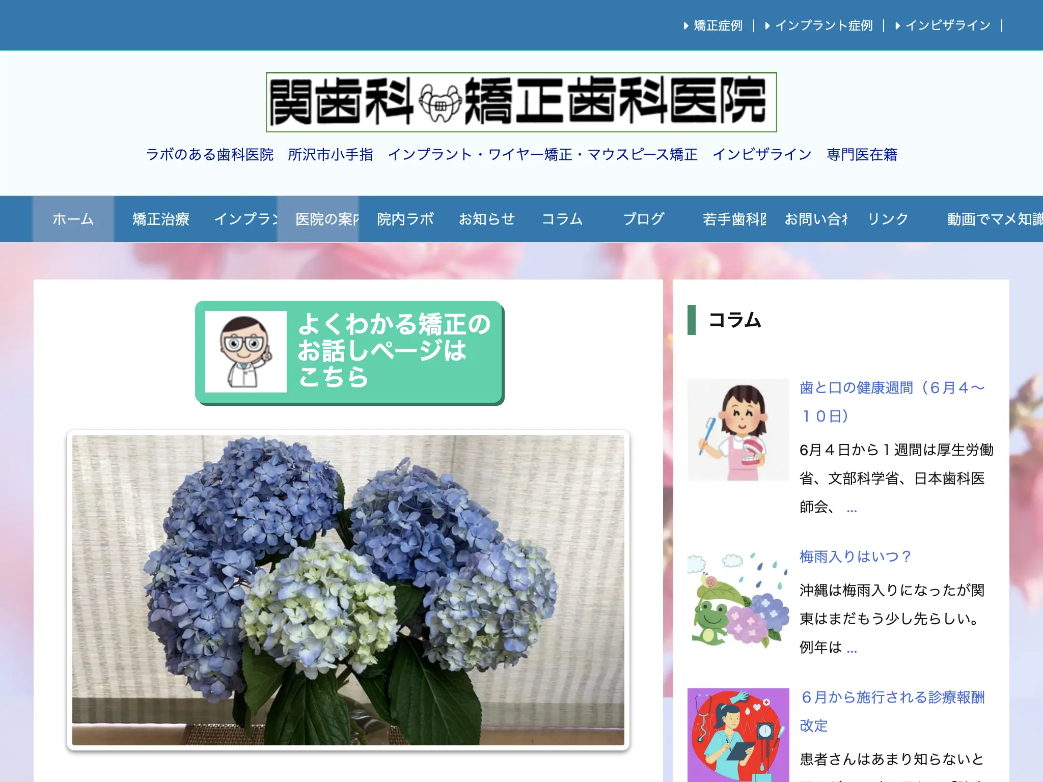 関歯科/矯正歯科医院のウェブサイト